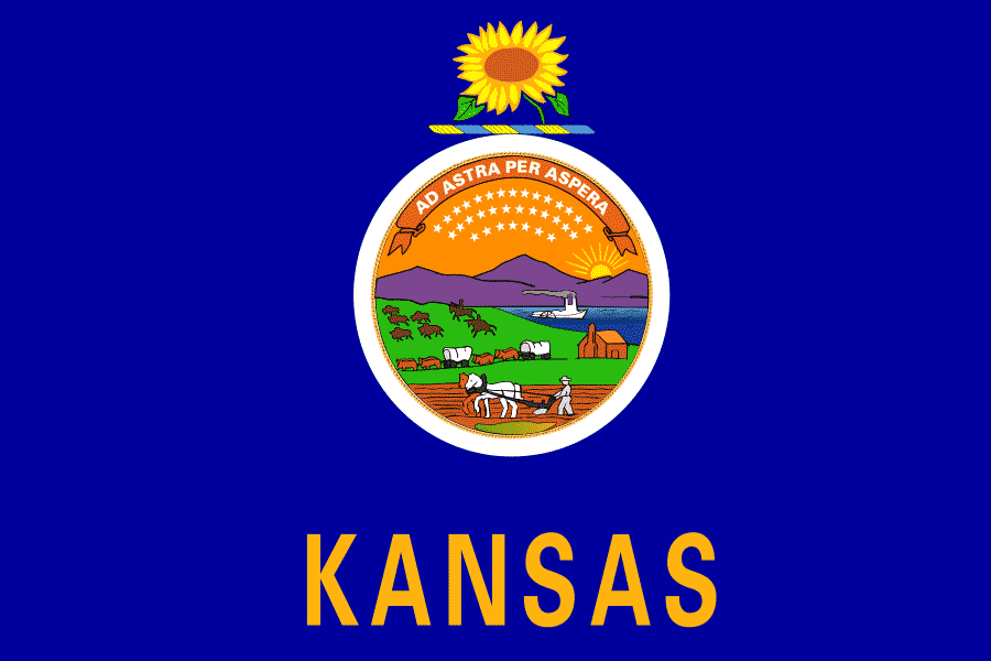The Kansas state flag
