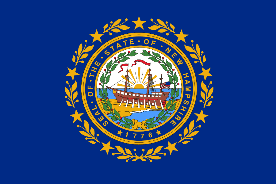 The New Hampshire state flag