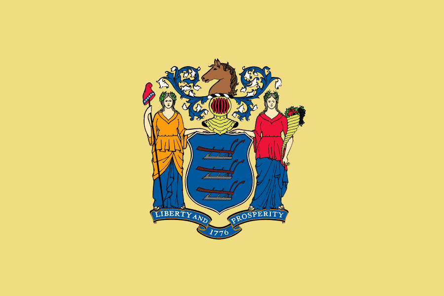 The New Jersey state flag