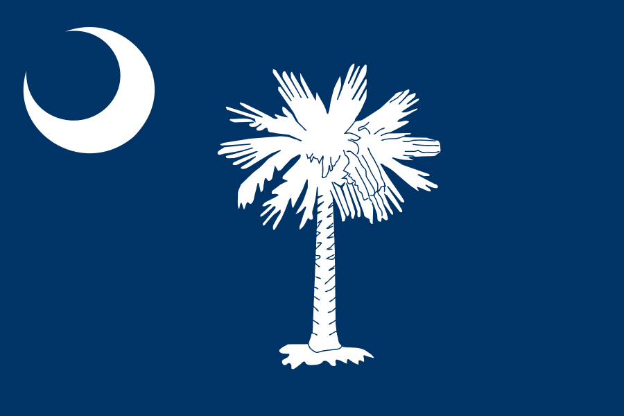 The South Carolina state flag